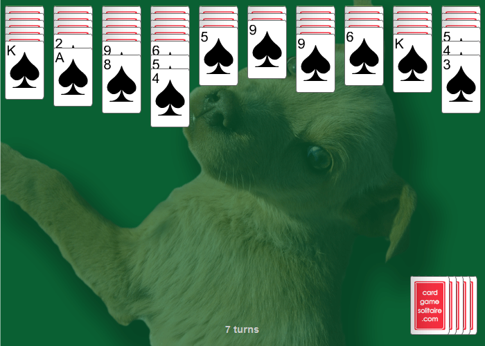 Download Spider Solitaire from Shareware Junction, Games, Card Games